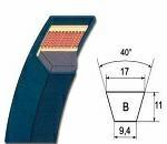 CINGHIA TRAP. B 215