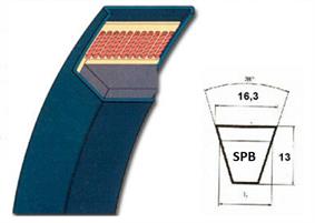 CINGHIA TRAP.SPB 1825